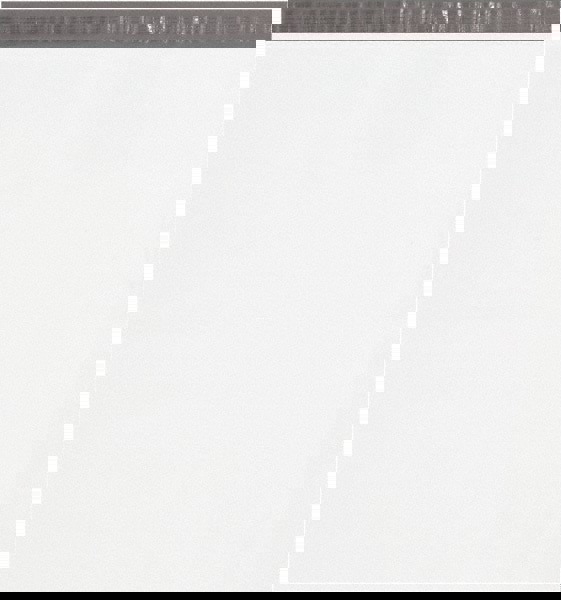 Courier Mailing Envelope: 24